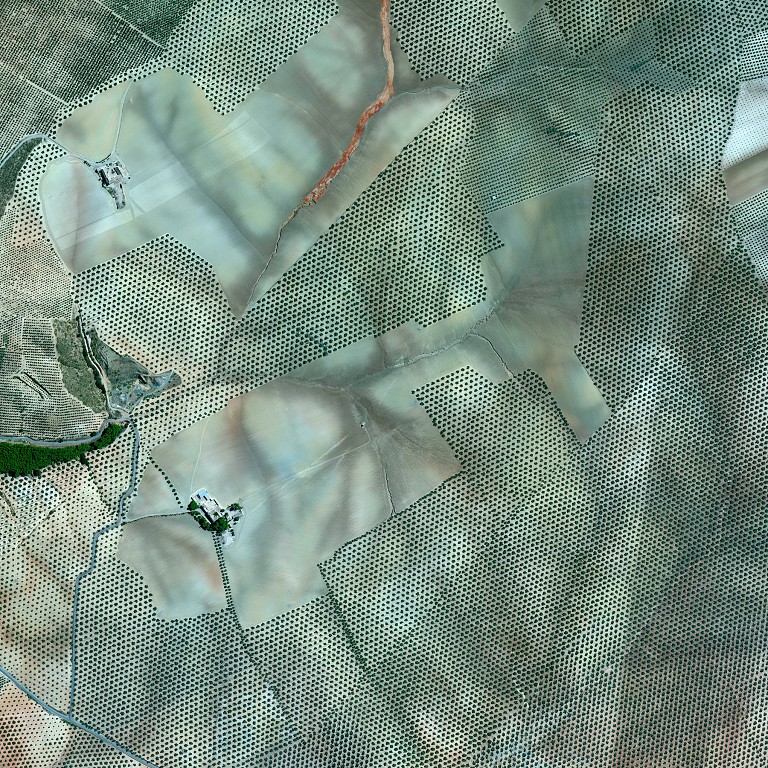 cc16e374-96d6-4ca1-932c-18c2caee14e7.jpg cc16e374-96d6-4ca1-932c-18c2caee14e7.jpg