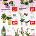 01-Promocoes-A-partir-de-22-03-03-60.jpg