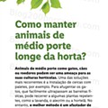 Jardim-lidl-8-abril-12.jpg
