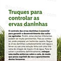 Jardim-lidl-8-abril-14.jpg