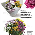 Jardim-lidl-8-abril-19.jpg