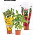Jardim-lidl-8-abril-20.jpg
