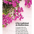 Jardim-lidl-8-abril-22.jpg