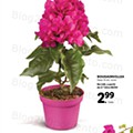 Jardim-lidl-8-abril-23.jpg