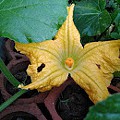 IMG_20210803_084117_093.jpg