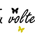 voltei.png