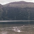Acores_Sao_Miguel-023204.jpg