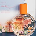Avon-021139.jpg