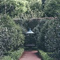 Terra_Nostra_Garden_Hotel-023271.jpg