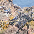Berlengas_Peniche_Graziela_Costa-1313.jpg