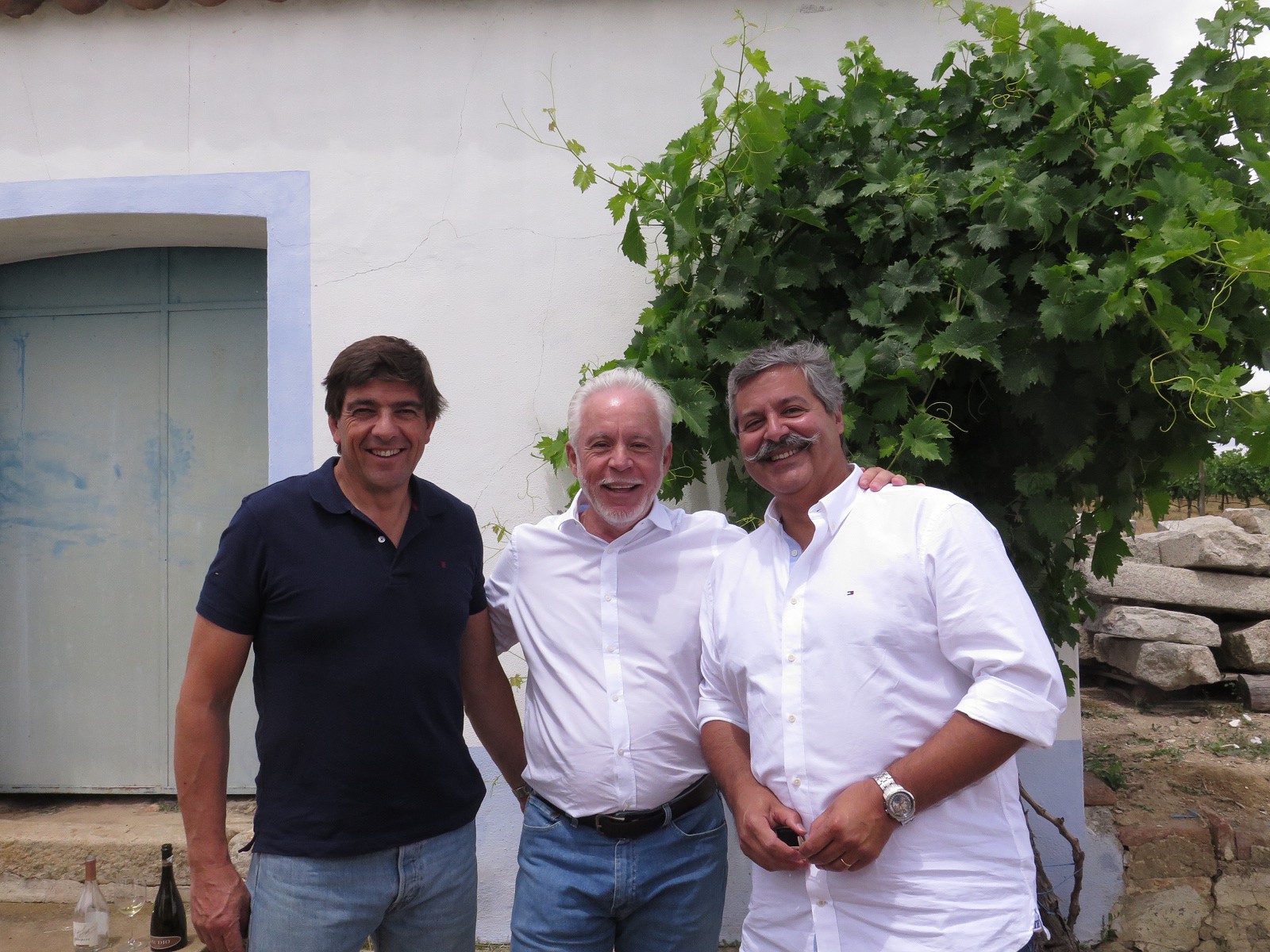 Nuno Bicó, Mário Pinheiro, Paulo Laureano