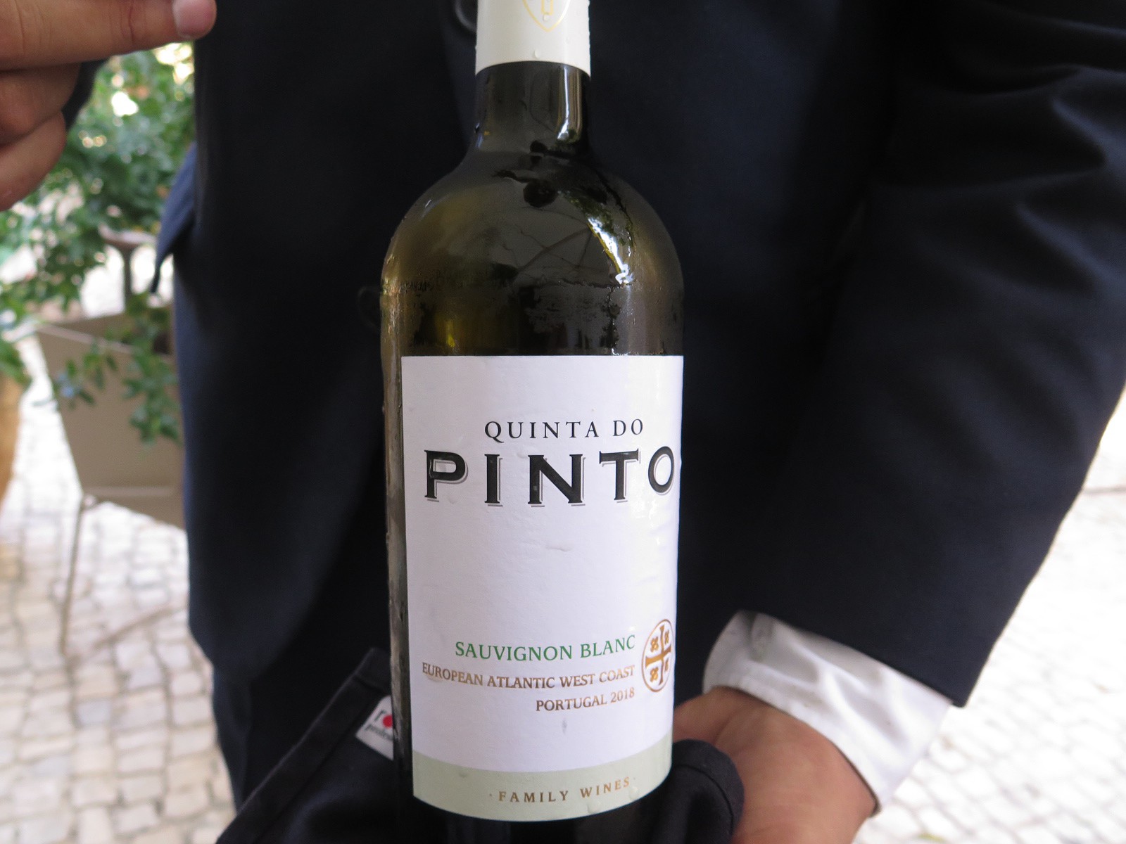 Quinta do Pinto Sauvignon Blanc branco 2018