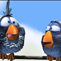 Blue-Birds-Funny-Wallpaper.jpg