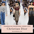 tendencias-primavera-verao-2018-christian-dior-blogar-moda.png