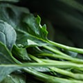 close-up-collard-greens-color-750952.jpg