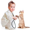 veterinario_de_gatosd.jpg